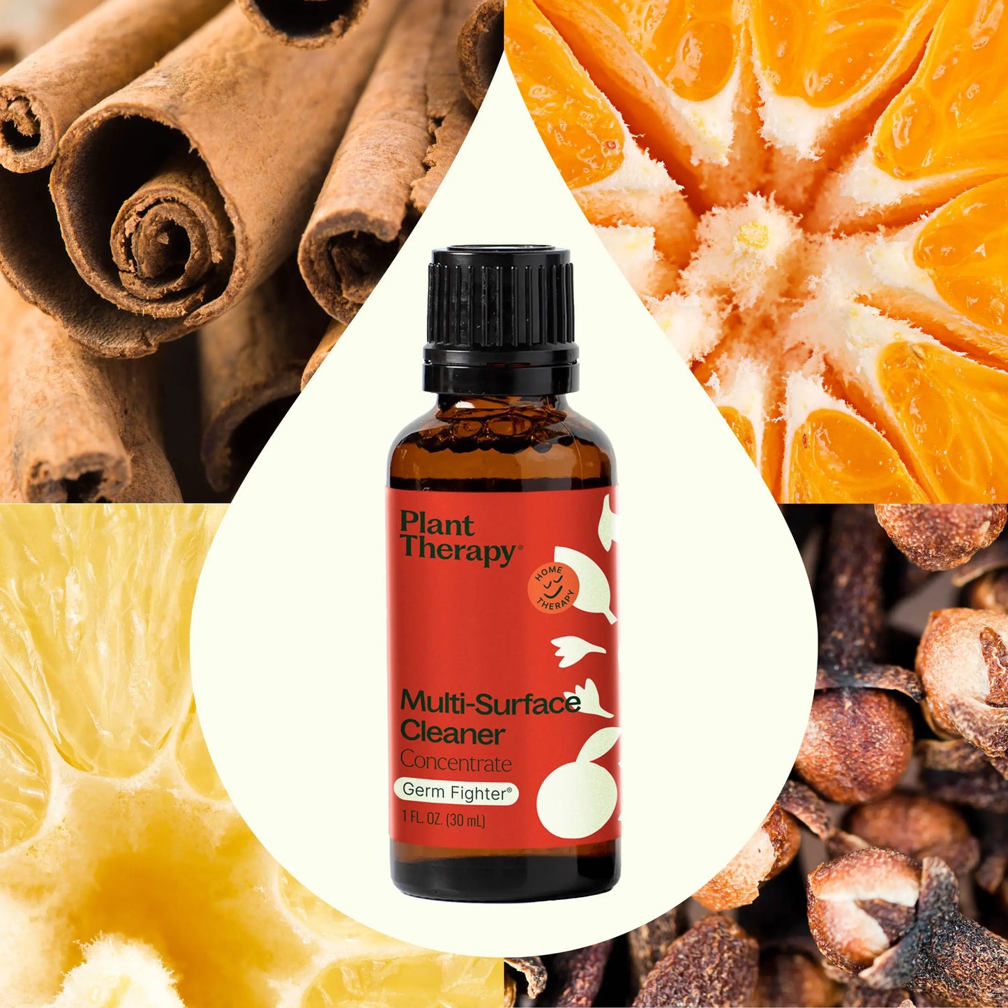 Germ Fighter Multi-Surface Cleaner Concentrate 30 mL 2 pack