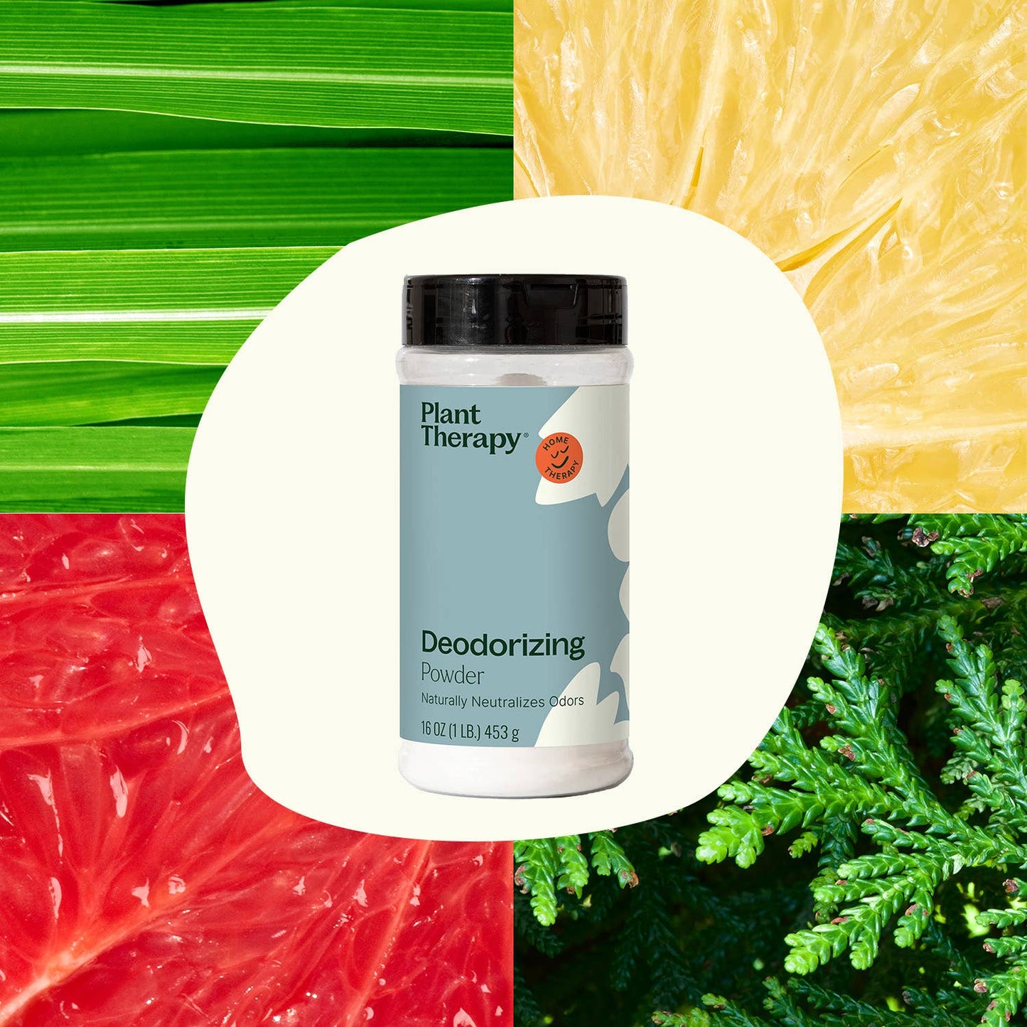 Deodorizing Powder 16 oz