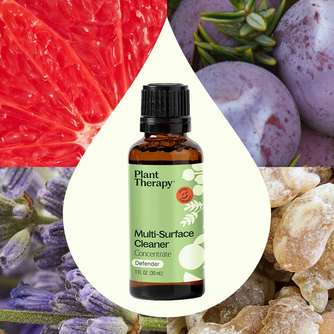 Multi-Surface Cleaner Concentrate ( Defender 2pk )