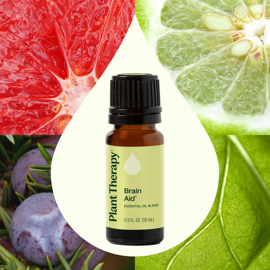 Brain Aid Essential Oil Blend 10 mL
