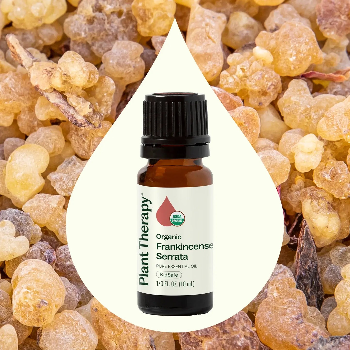 Organic Frankincense Serrata Essential Oil 10 mL