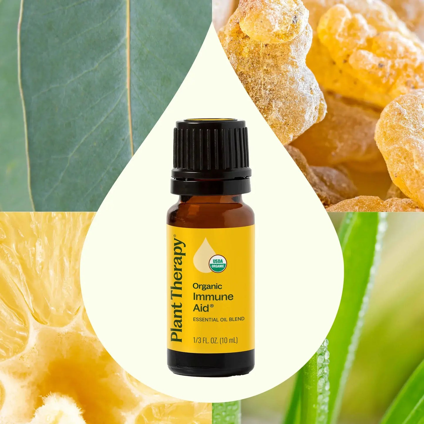 Organic Immune Aid Essential Oil Blend 10 mL