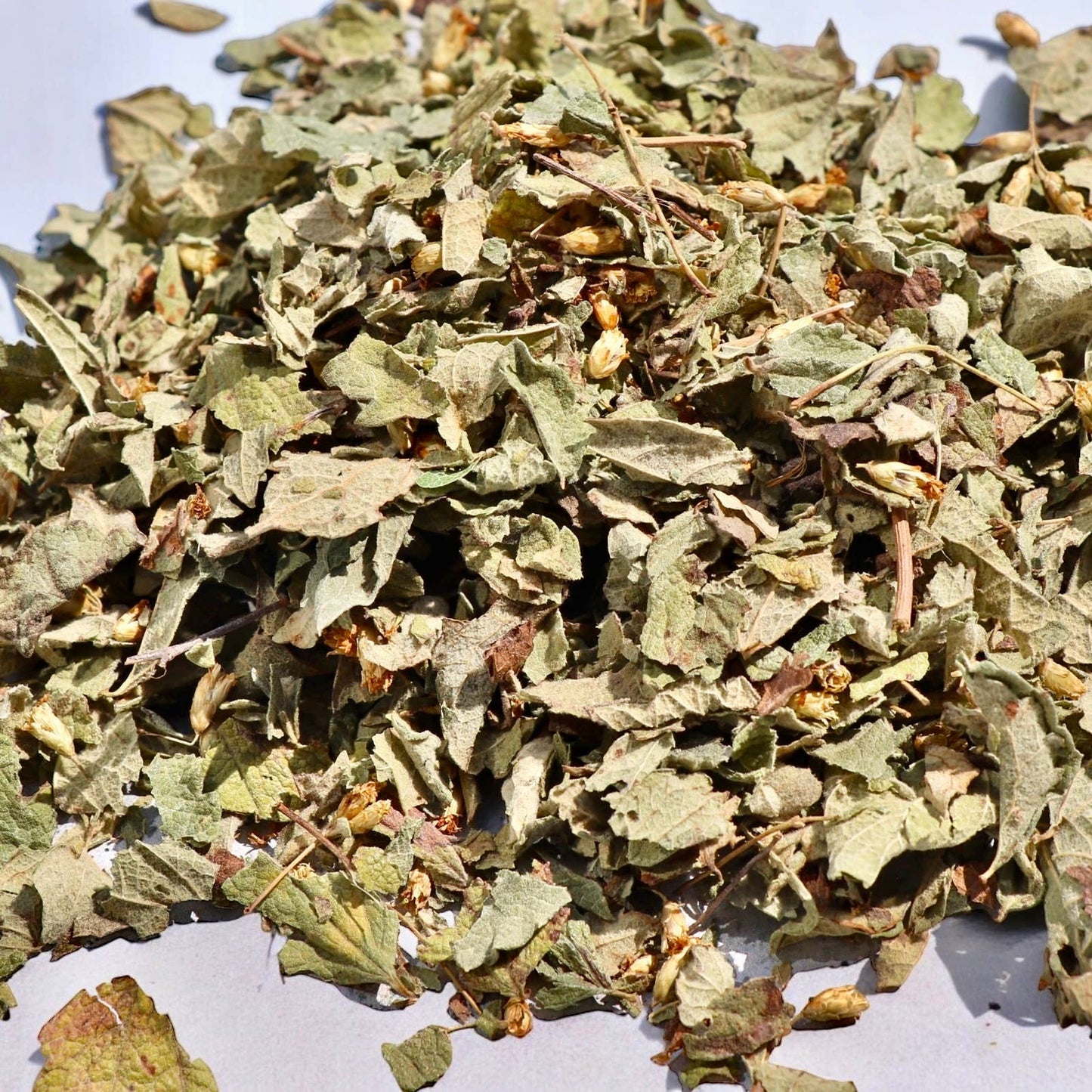 Mexican Dream Herb