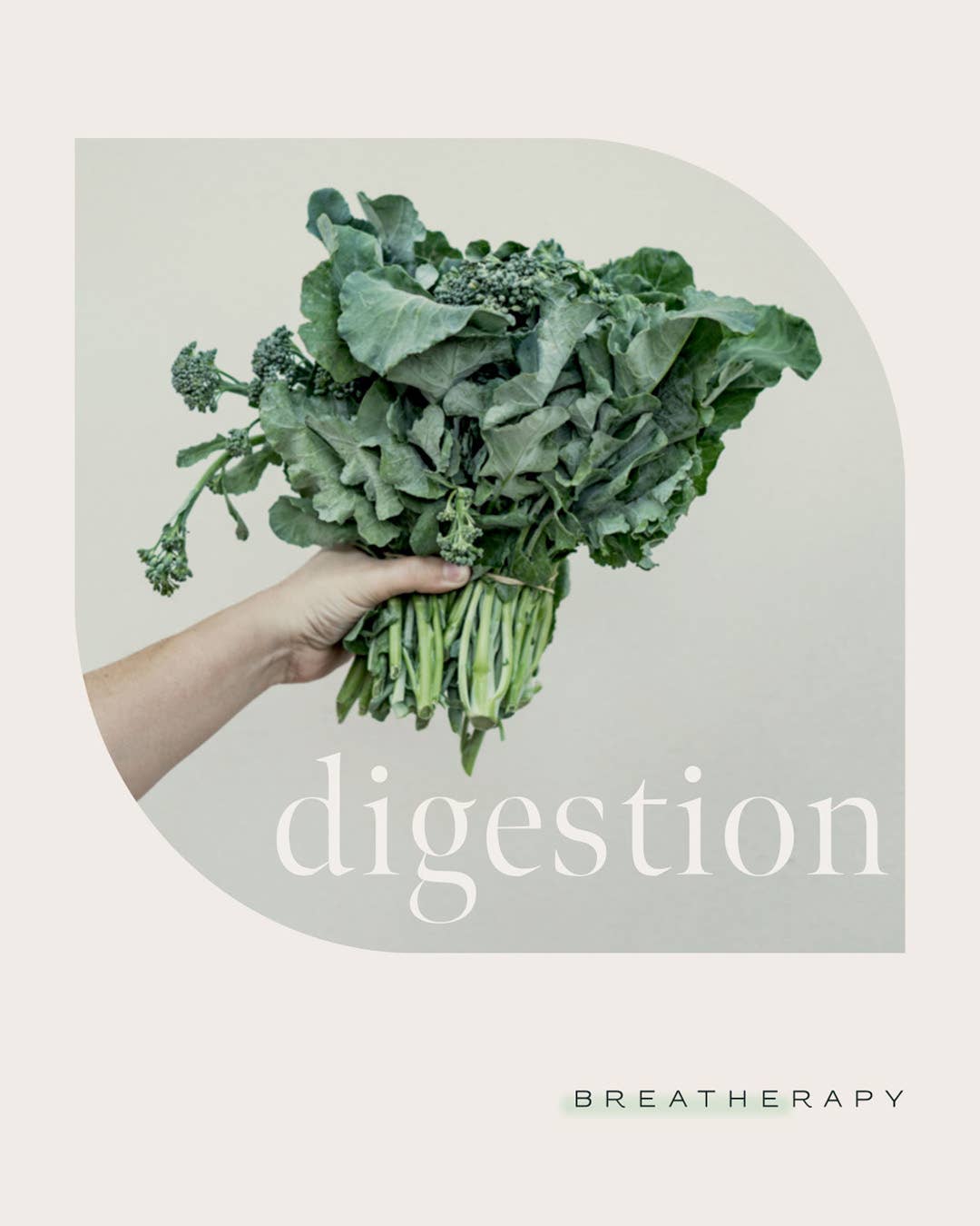 DIGESTION Aroma Patches Upset Tummy & Belly Comfort (8 ct.)