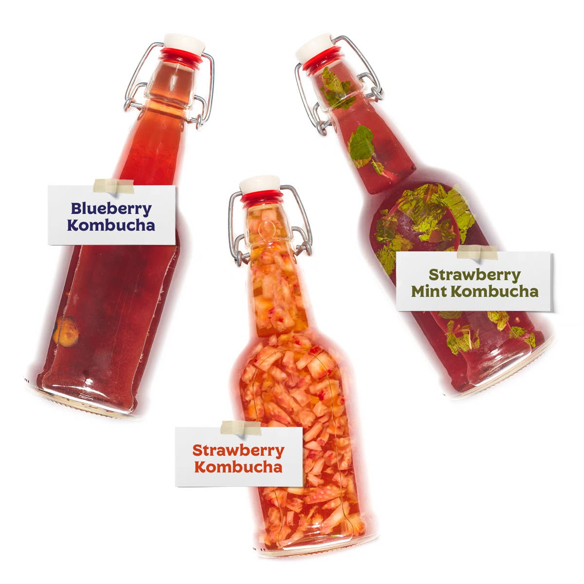 Complete Kombucha Brewing Starter Kit – Classic