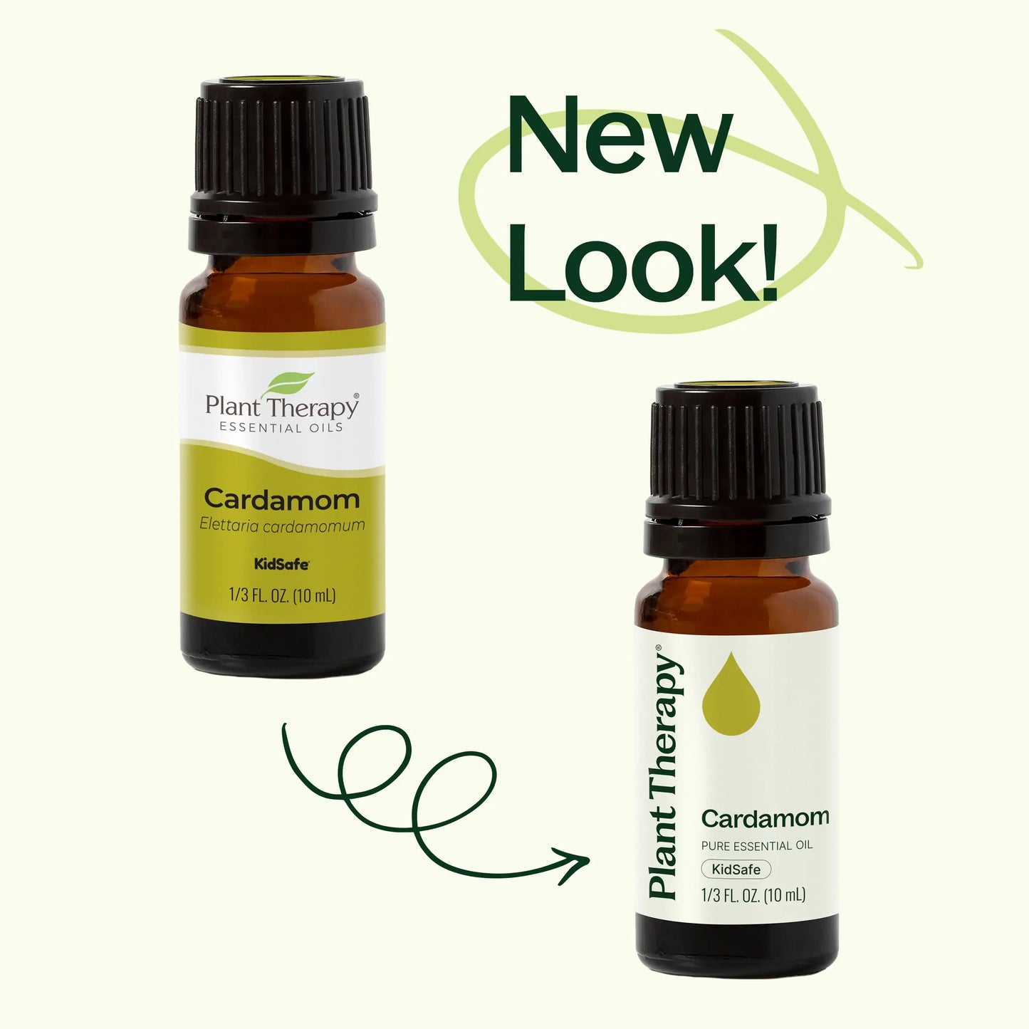 Cardamom Essential Oil 10mL