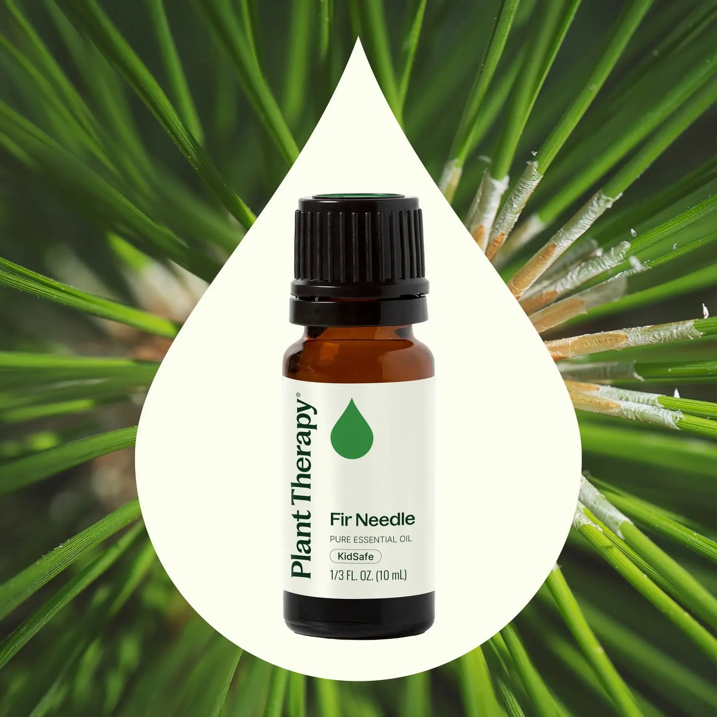 Fir Needle Essential Oil 10 mL
