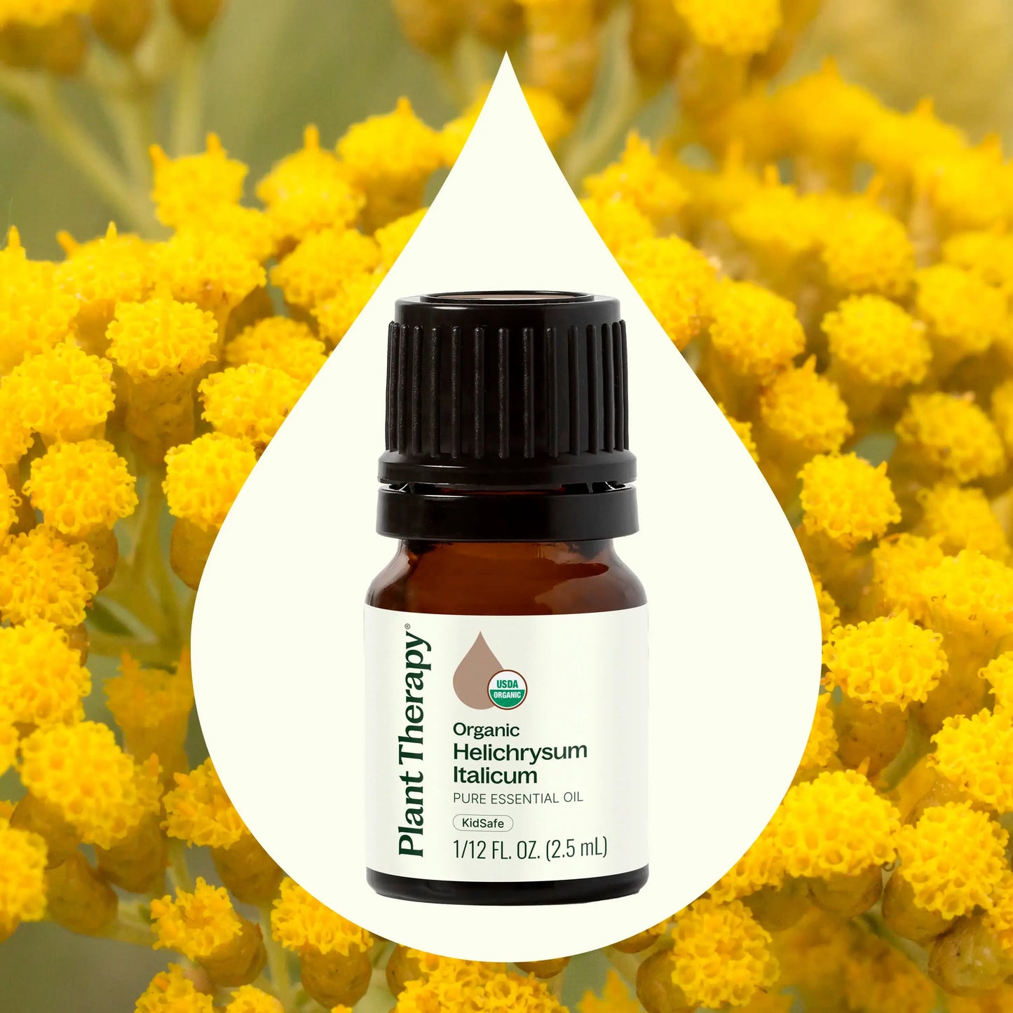 Organic Helichrysum Italicum Essential Oil 2.5 mL